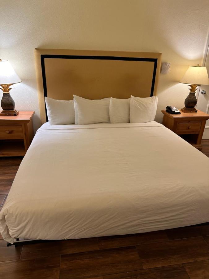 King Room - Disability Access/Non-Smoking,1705771128:JPEG